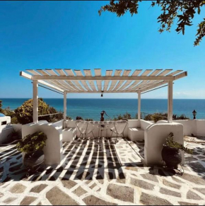 Villa Olga studios